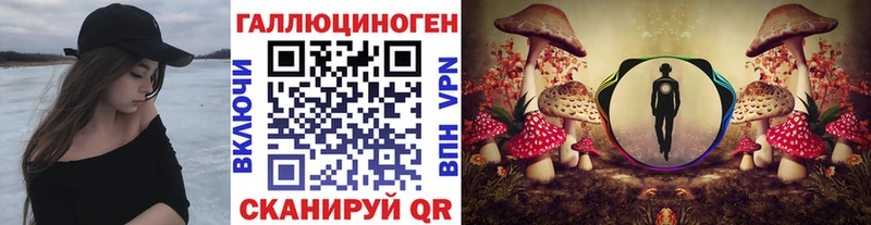 Галлюциногенные грибы Cubensis  Ангарск 
